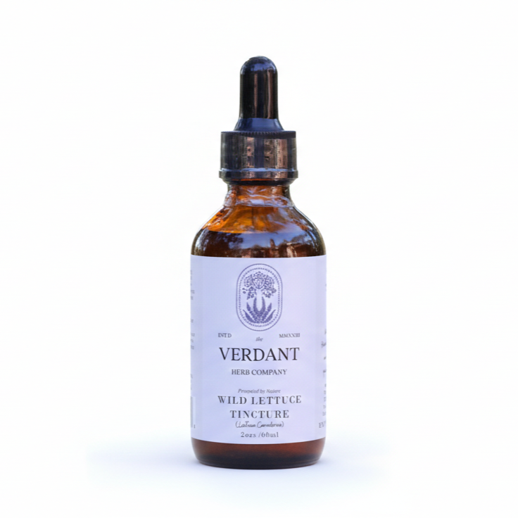 Wild Lettuce Tincture | Small-Batch Herbal Extract | 2 oz